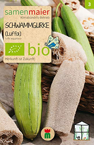 BIO Schwammgurke Luffa Samen - Hochwertiges BIO Saatgut für ökologischen Anbau - Erntezeit Juni bis September - Reicht für ca. 5 Pflanzen - Samen Maier