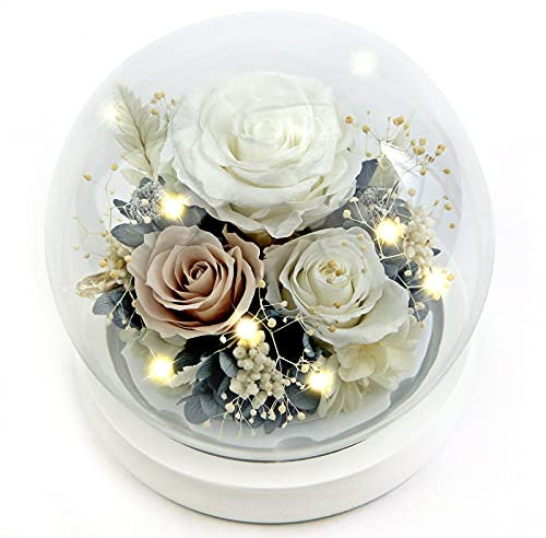 Kylin Glory Forever Flowers Konservierte Rosen Geschenk für Frauen Mutter Freundin Frau – Frische echte Rosen Ewige Blumen Elegantes Geschenk für Valentinstag Geburtstag Jahrestag (Perlweiß)