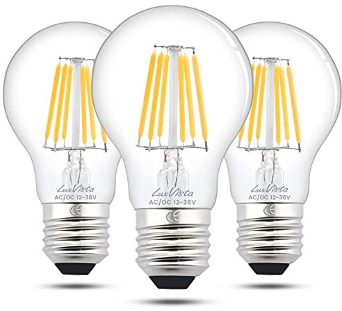 Ampoules LED E27 Basse Tension AC/DC 12V-24V Blanc Chaud 2700K 6W 600lm A60 Lampe à filament à LED Edison ES Vinatge Incandescence 60W équivalent, CRI 80 + pour RV Camper Marine 3-Pack