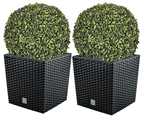 WellHome Set di 2 vasi per piante Ratto da 32L con contenitore per piante, antracite 32x32x32,5 cm + sfera di bosso diam. 36 cm