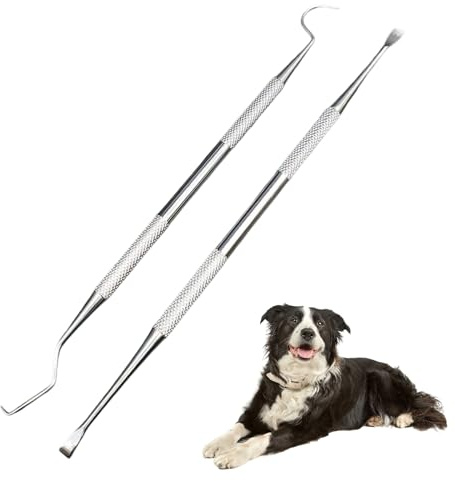 2 Pcs Detartreur Dentaire Kit, Dents en Acier Inoxydable Kit, Crochet Choisir Détartreur pour Dentiste Nettoyage Des Dents Tartre