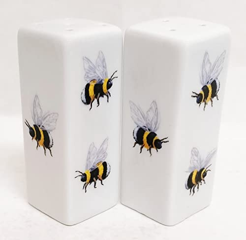 Rainbow Decors Bees Salt and Pepper Set Ceramic Porcelain Rectangular Square Bumblebee Cruet Set Hand Decorated in UK, White