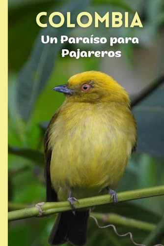 Colombia: Un paraíso para pajareros: Espectaculares aves de los Andes: colibríes, halcones, búhos, tángaras, patos, pavas, pájaros carpinteros, ... quetzales y mucho más. Amantes de los pájaros