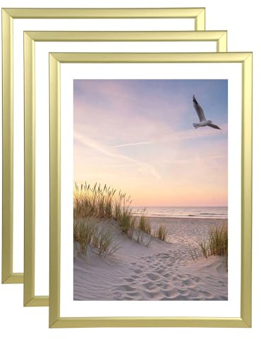 IDEAL TREND 3er 5er 10er Set Bilderrahmen Fotorahmen aus Kunststoff Bilder Foto Posterrahmen Collage AC-6 Wanddeko: Farbe: 3er Pack Gold | Format: 40x60