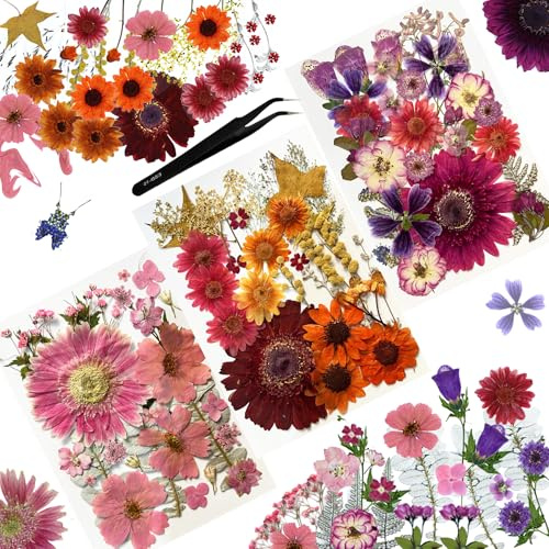Huimai 175 Stück Trockenpressen-Blumen-Set, Natürliche Getrocknete Blumen für Epoxidharz Deko Zubehör,Trockenblumen Basteln,DIY Kerzen,Seife,Anhänger,Lesezeichen und Kartenherstellung