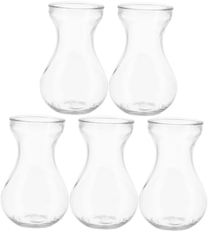 Alipis 5pièces Vases Verre Transparents Forme De Jacinthe Lot de Petits Vases Décoratifs pour Centre De Table Et Intérieur