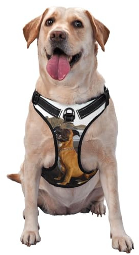 Portrait de Chien Boxer Brun de Plage,Harnais pour Animaux de Compagnie, Harnais réfléchissant réglable pour Chien,S