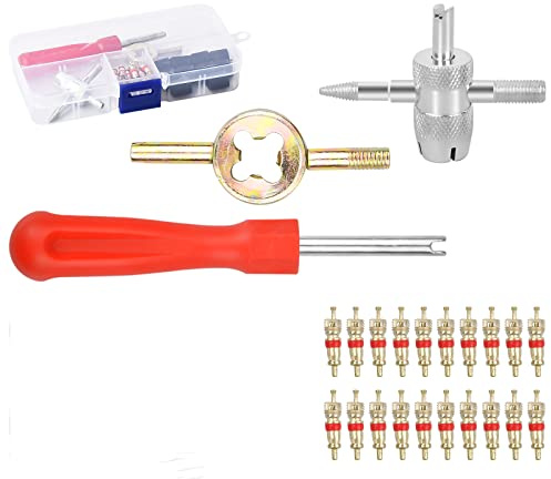 33 Pcs Ventileinsatz Reifen Set, 20 Pcs Ventilkern Kupfer, 10 Pcs Reifenventilkappen, 4 in 1 Ventilkern Reparatur Werkzeug, Reifenventilentferner Fahrrad, Reifenventil Werkzeug Set für Auto Motorrad