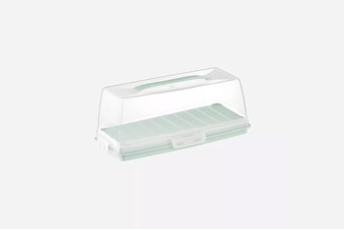 Stolmet Cake Box, Plastic Clear Cake Carrier, Reusable Storage Container for Cupcakes, Muffins or Cakes, Many Styles, Ideal for Transporting Pastries, Cake Box with Lid (Green Keks)