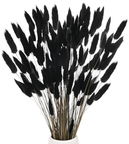 M METERXITY 120er-Pack Hasenschwanzgras 17 Zoll Flauschiges Hasenschwanzgras Getrocknete Blumenzweige Vasenfüller Getrocknete für Zuhause/Hochzeit/Vase/Büro/Party [Schwarz]