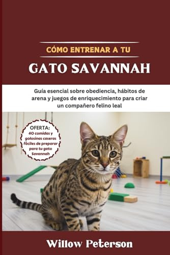 Cómo entrenar a tu gato Savannah: Guía esencial sobre obediencia, hábitos de arena y juegos de enriquecimiento para criar un compañero felino leal