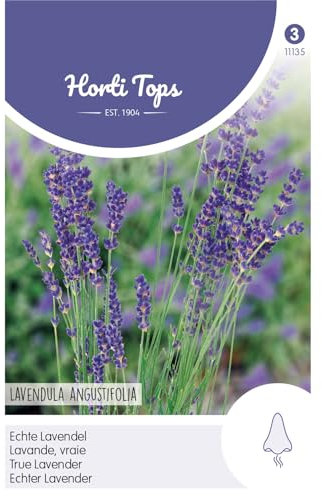 Hortitops 11135 Echter Lavendel (Lavendelsamen)