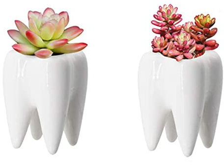 Spldsun Lot de 2 pots de fleurs en céramique blanc, forme de dent, intérieur, succulents, pot à crayons créatif 7x10 cm, décoration bureau domicile