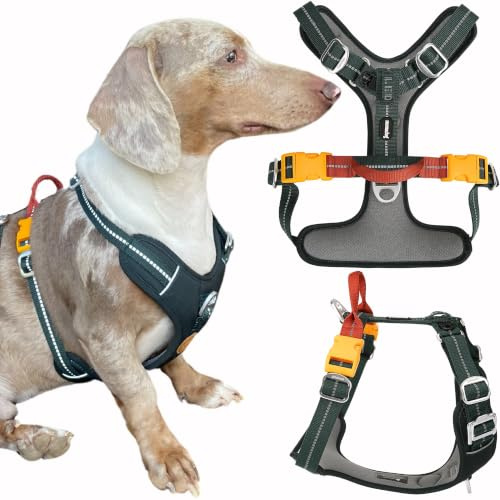 Nomadog Trailblazer Antizuggeschirr für Kleine Hunde mit Griff - Gepolstert, Verstellbar für Ganztägigen Komfort, Aluminium-Beschläge, 3M Reflektor – Ideal Für Aktive Hunde (S)