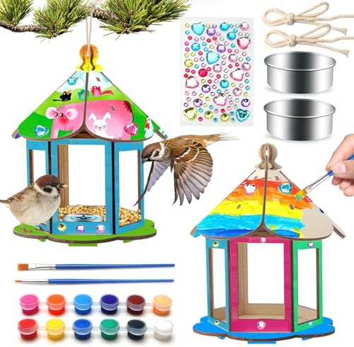 Col-Pary 2 Pack Bird Feeders,DIY Bird House Art Crafts Kit for Teenager,Garden,Outdoor Paint DIY Birdhouse Wooden Art Activities Crafts for Teenager Age 14