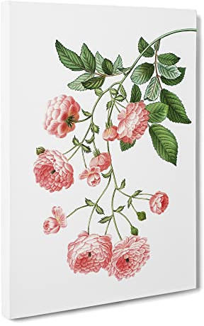 Rambler Roses By Pierre Joseph Redoute Canvas Print | Gallery Wrapped 30mm Frame Wall Art | 20x14 inches | Ready to Hang | Retro Floral Picture | Living Room Bedroom Lounge Office