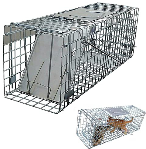 Piège à animaux sans cruauté – Pliable, résistant à la rouille pour chats errants, écureuils, ratons laveurs – Solution de capture efficace