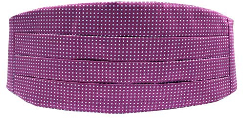 S&W SHLAX&WING Violett Punkte Herren Kummerbund Gift