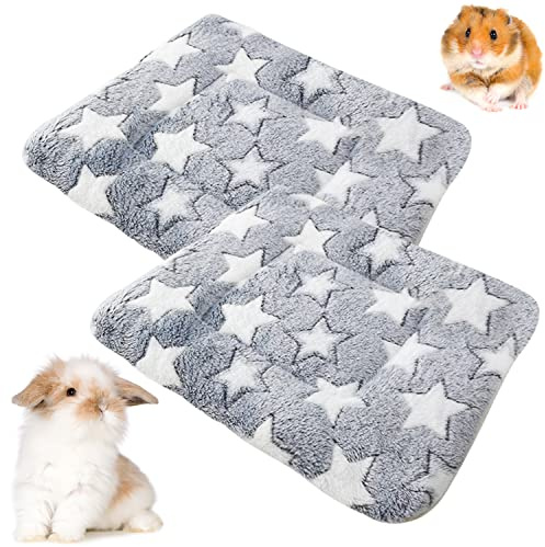 Barley Ears 2 Pezzi Biancheria da Letto in Peluche per Piccoli Animali, Inverno Caldo Fluffy Flanella Pile Coperta Letto per Gattini, Conigli, Cincillà, Porcellini d'India, Grigio 34 x 28 cm