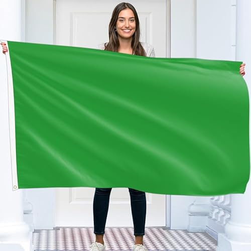 Feste grüne Flagge – einfarbige grüne Flagge – doppelseitiger Druck – 90 g Polyester – Doppelnaht – 2 Messingösen, groß 1,5 m x 0,9 m