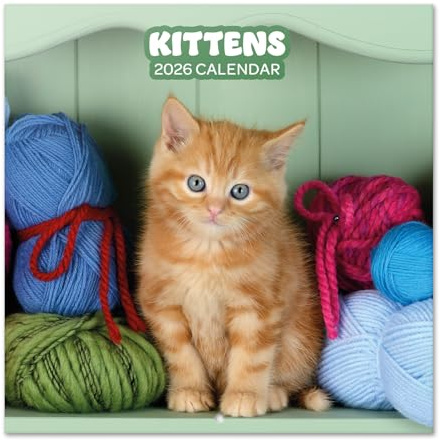 Grupo Erik - Calendrier Chat 2026 Mural - Calendrier 2026 Mural Mensuel │ Idee Cadeau : Calendriers Muraux │ De Janvier à Décembre : Espace pour notes et Illustrations décoratives (30x60 cm)