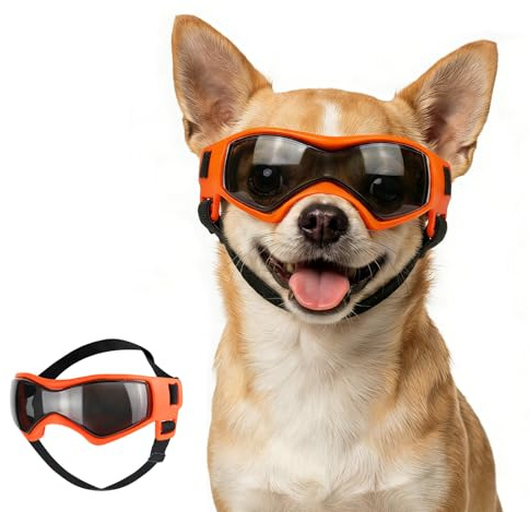 Namsan Lunettes de soleil pour chiens de très petite taille, protection UV, avec sangles réglables, lunettes de moto pour petits chiens, orange, taille XS