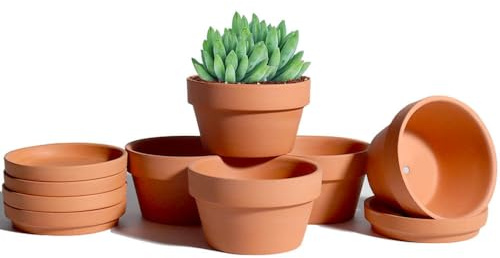 Vensovo 6er-Pack 11,4 cm Terrakotta-Sukkulententöpfe mit Untersetzern | Tontöpfe mit Ablaufloch für Kakteen und Sukkulenten, ideal für den Innen- und Außenbereich