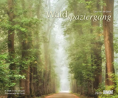 DUMONT Waldspaziergang Wandkalender 2024, im Format 60 x 50 cm, Monatskalender, Kalender mit Naturfotografien
