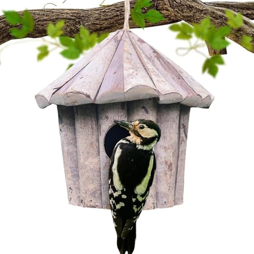 Nido de colibrí | Refugio de madera para anidar en el techo, caja nido de casa de pájaros, decoración de jardín, para patio al aire libre, jardín, ventana de invierno, árbol, reyez, pinza, periquito