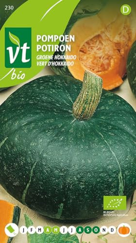 Potiron Vert d'Hokkaido Graines - Fruits verts compacts de 1 à 1,5 kg