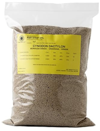 R&R SHOP - Semi per Prato Resistente, Gramigna Cynodon Dactylon, Origine Usa, Resistente a Caldo & Siccità, Calpestabile (200gr-20mq)