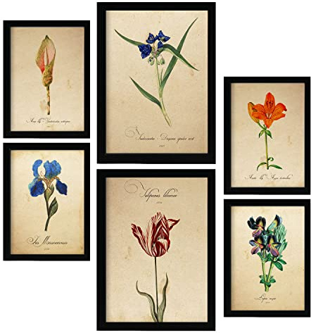 Nacnic Posters di Fiori Blu. Manifesti Naturalistiche e Botaniche a Colori con Temi Floreali in Stile Carta Vintage. Progettazione e decorazione d'interni. A4 & A3.