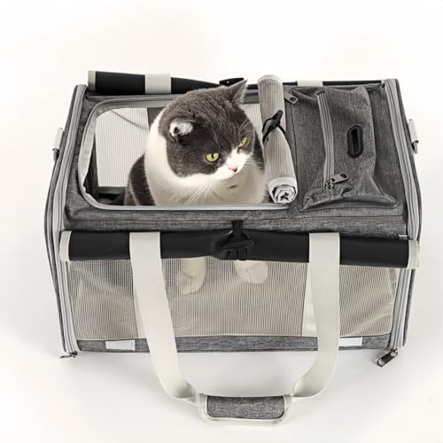 Große Tragetasche für Katzen Hunde Welpen bis 8kg, Katzenbox Hundetasche mit Sicherheit Reißverschlüsse und Schultergurt, Atmungsaktiv Tragbar Faltbare Transporttasche für Reise Tierarzt Auto Fugzeug