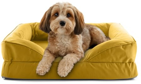Lumaland Cuccia ortopedica per cani per esterni e interni, divano ergonomico 70 x 60 cm, ideale per cani di piccola taglia, fondo antiscivolo, imbottitura e rivestimento lavabile, cestino per cani