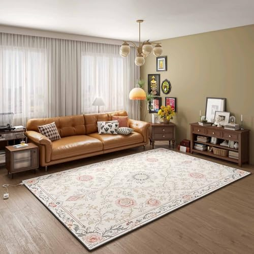 Snaweo Removable Portable Heated Floor Mat, Graphene Electric Heating Carpet, Foot Warmer Under Desk Heater, Energy Saving Indoor Heated Rug, Suitable for Yoga(Color4,100x150cm/39.4x59.1in)