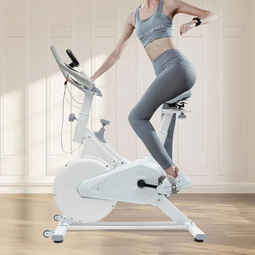 Heimtrainer für den Heimgebrauch, Indoor Cycling Stationär Bike, Fahrrad für Heimtraining, Fitness Fahrrad für Zuhause Fitness Bikes Indoor Kardio Training Indoor Bike,Einstellbares Widerstandssystem