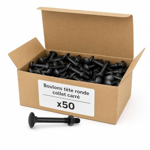 50 Boulons tête ronde collet carré DIN603/555 acier zingués Noir 6.0 X40