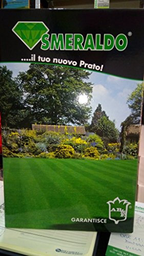 Seme Prato Smeraldo, Festuca Arundinacea80%,loietto,Poa,Agrostide,Kg 1, Mondonatura Srl