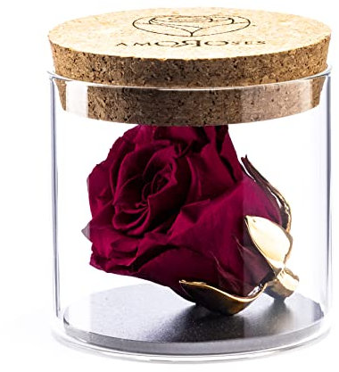 Amoroses Bijou - Ewige stabilisierte Rose mit 24 Karat vergoldetem Kelch im Glasgefäß | Geschenkidee (Rose Rubinrot)