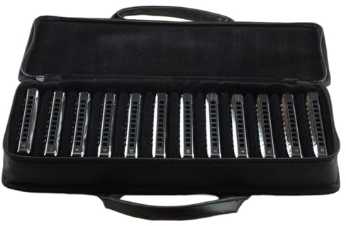 Professional Mundharmonika Blues Harp Set Professionelles 10-Loch-Mundharmonika-Set Mit 12 Tasten Für Spieleranfänger