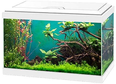 Ciano Aqua 20 Classic Aquarium Fish Tank - White
