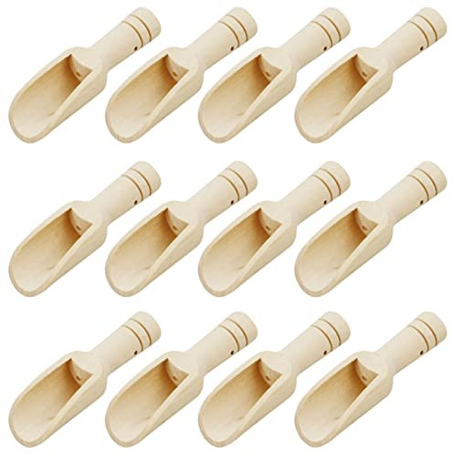 Lot de 12 petites cuillères à sel en bois avec trous pour haricots, sucre, sel