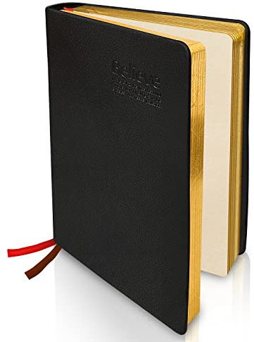 Joy & Inspiration PU Leder Notizbuch A5 Rückseite 310 Blatt 620 Seiten Vintage Tagebuch, Leere Innere Seite A5 Notizbuch mit Goldenem Rand, Malerei Handbuch Antikes Skizzenbuch Reisetagebuch