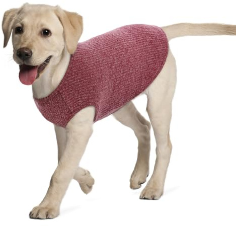 Hundeshirt für Mittelgroße Hunde | Sommer Hund T-Shirt Atmungsaktiv & Leicht | Weich & Bequem, Rundhals Design | Hunde Bekleidung | Schlanke Labrador Retriever, Golden Retriever (Rot XXL)