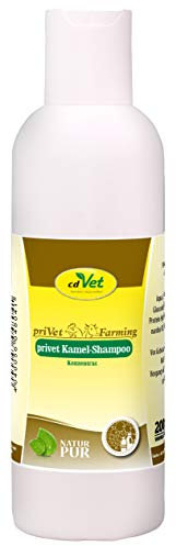 cdVet Naturprodukte Kamel Shampoo Konzentrat 200 ml - Kamel - Pflegeshampoo - empfindliche Haut - pflegt die Haut + verleiht dem fell Glanz - beugt Schuppenbildung vor - nachfettende Wirkung -