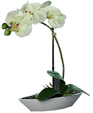 Decpero Künstliche Orchidee im Topf I Creme I künstliche Phalaneopsis in Dekoschale
