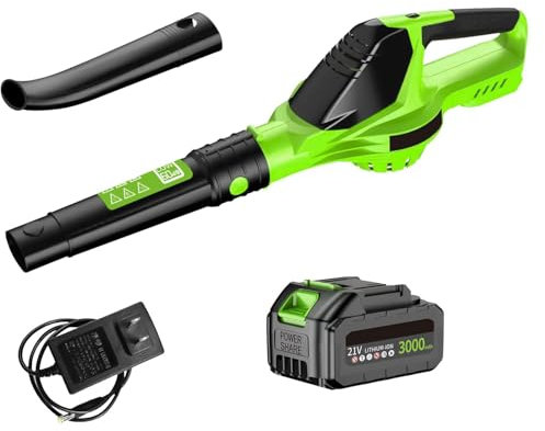 Souffleur de Feuilles sans Fil 21 V, 3000 W,100 MPH,avec 2x3.0Ah Batterie et Chargeur, 5 Modes de Vitesse pour l'entretien de la pelouse, Le soufflage de la Neige, et Le dépoussiérage (1 Batterie)