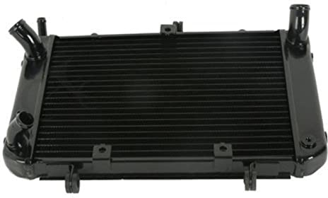 QASULER Radiatore in alluminio for moto GSR400 GSR 600 2004-2010 2005 2006 2007 Radiatore per moto