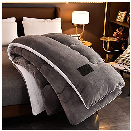 BDMFJY Bettdecke Baumwolle Winter, Winter Warmer Lamm Samtkern, Dicker Warmer Plüsch - Plus Samtkern Steppdecke Wintersteppdecke, Einfarbig,Grau,150x200cm(2.5kg)