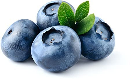 Blueberry Plants, 'Chandler', 1 x Full Plant in 2 Litre Pot, Blueberries, Fruit Plants, Blueberry, Garden Ready and Ready to Plant, Premium Quality Fruit